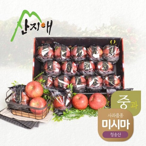 산지애 사과 5.4kg  필수불가결 선물추천